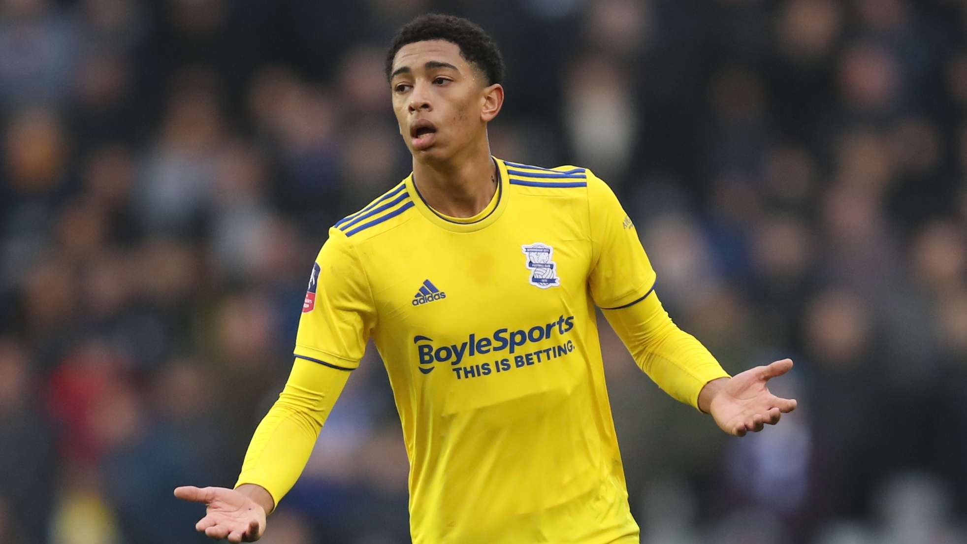 获得这一称 获得这一称